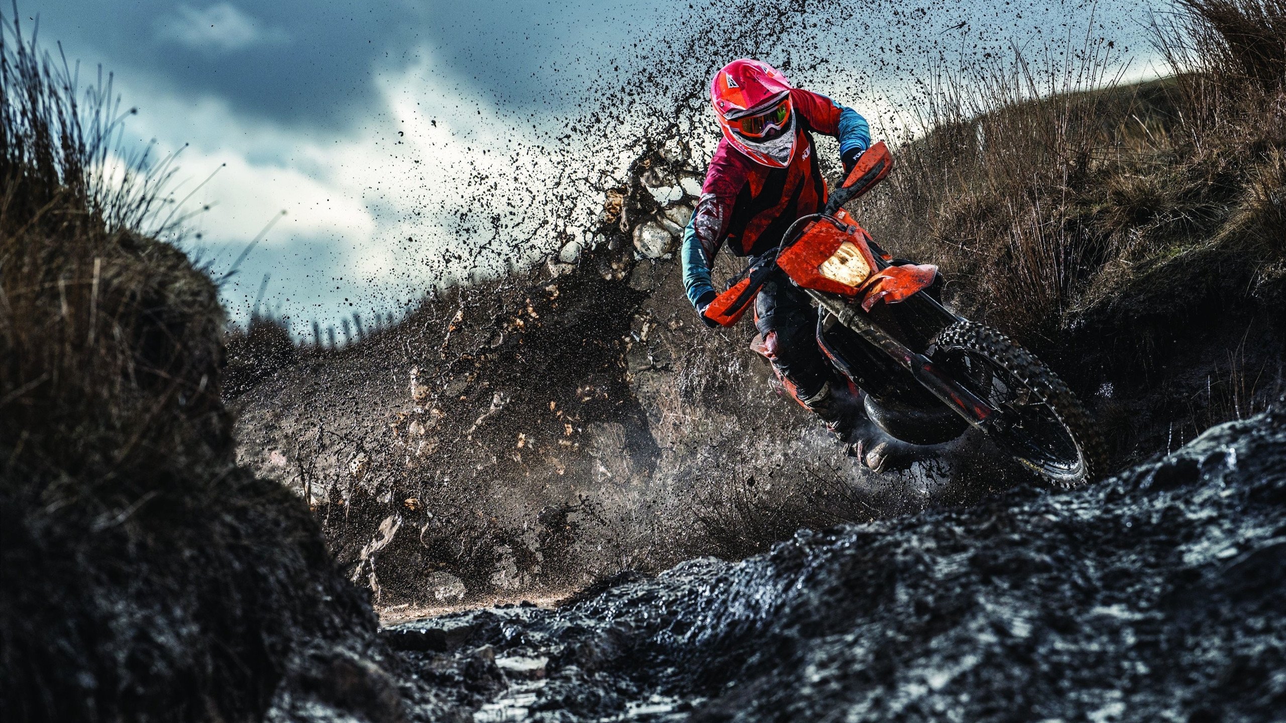 湖人主帅称赞浓眉篮下威慑力十足，湖人队浓眉是谁